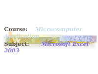 microsoft excel notes.pdf